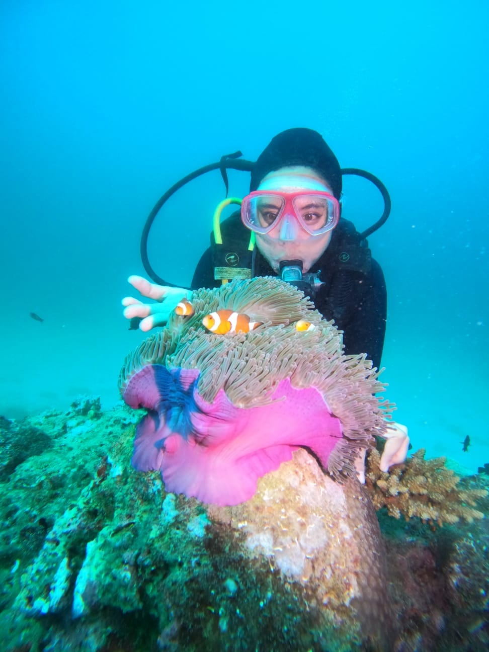 diving